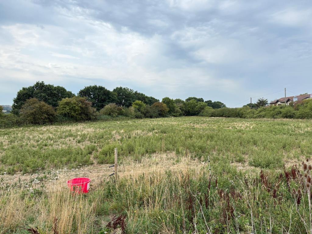 Lot: 173 - TRADITIONAL FARMHOUSE FOR REFURBISHMENT AND BARN WITH PLANNING FOR RESIDENTIAL CONVERSION - APPROXIMATELY 17.5 ACRES - Grazing fields